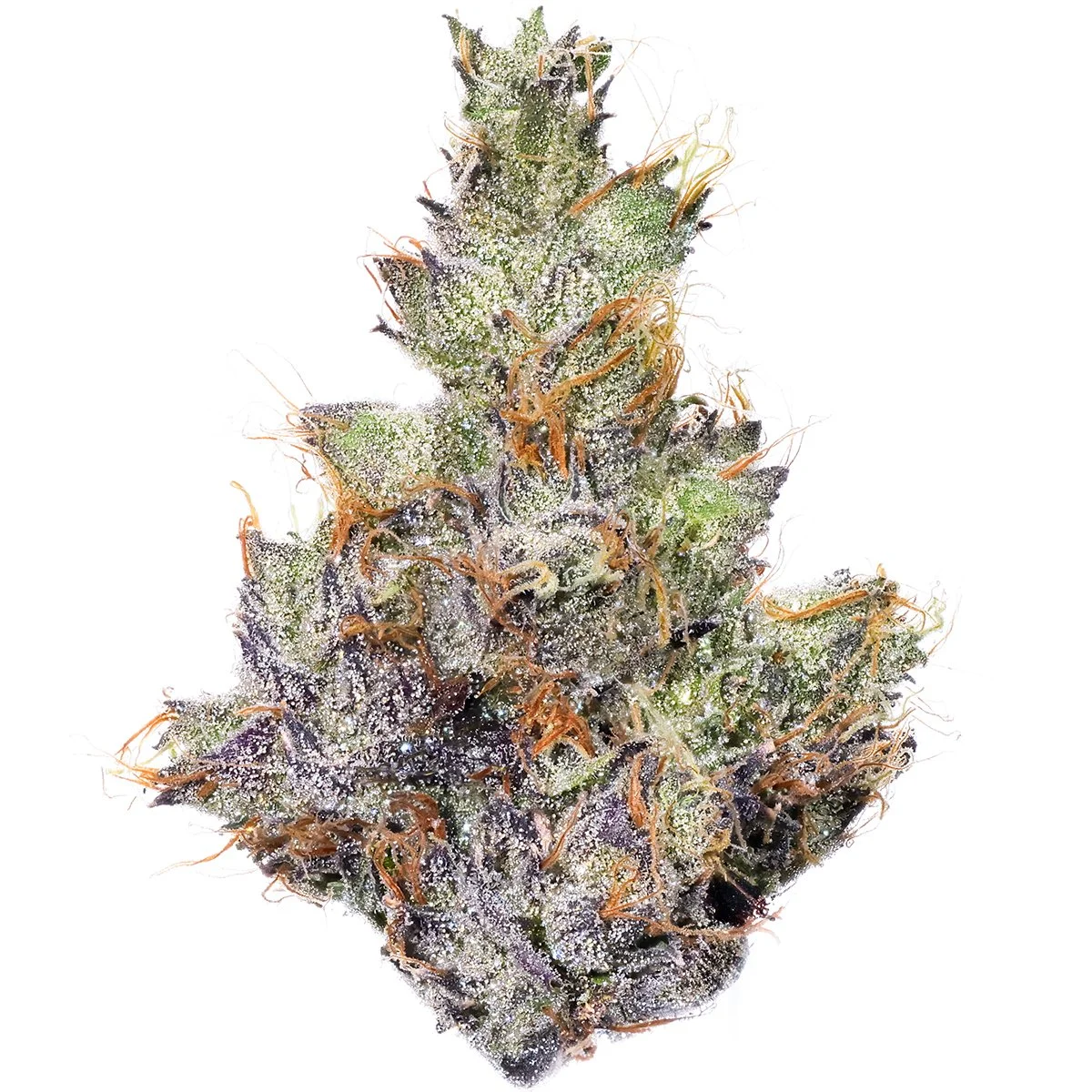 Chems and Cherry - Fig Farms Menu Photo 1 1200x1200.jpg