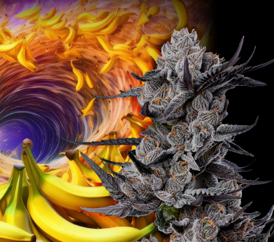 decibel cosmic banana.PNG