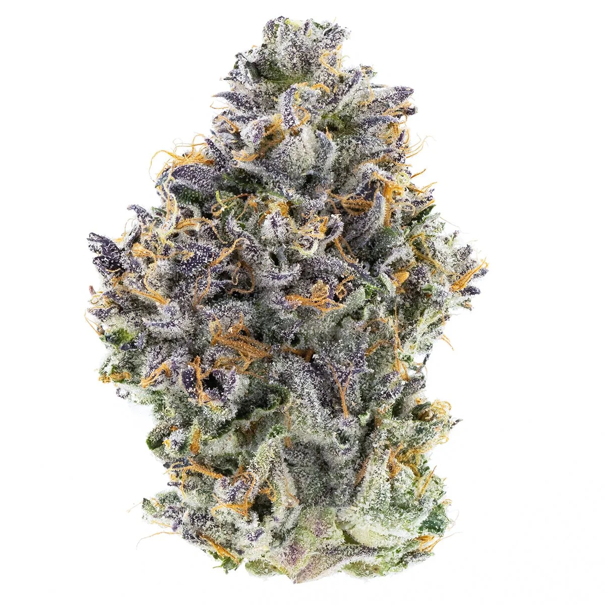 Mad Dog Menu Photo 8-5-25.jpg