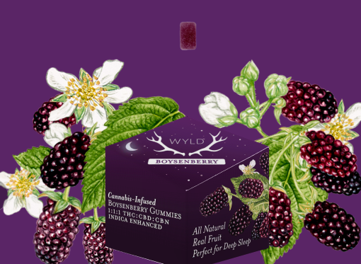 boysenberry wyld.PNG