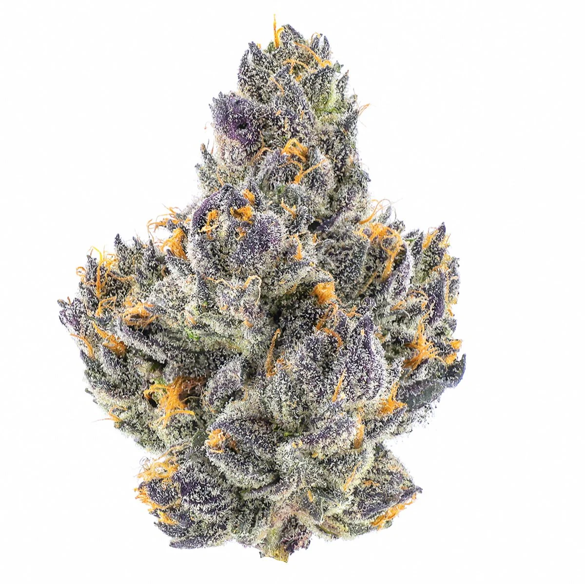 Cherry Martinelli - Fig Farms Menu Photo (1).jpg