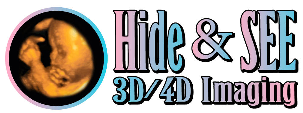 Hide & SEE 3D/4D Imaging Logo