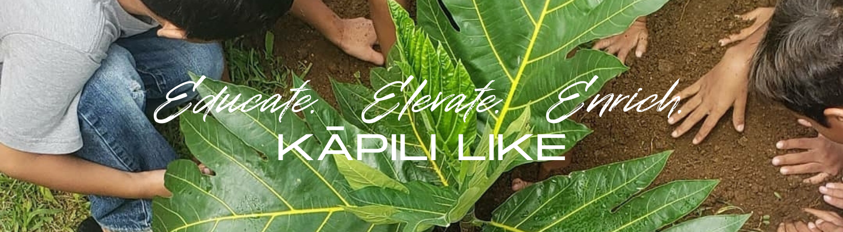 Prince Kuhio Header (1).png