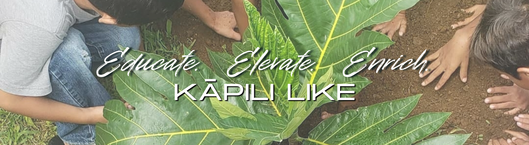 Prince Kuhio Header (6).png