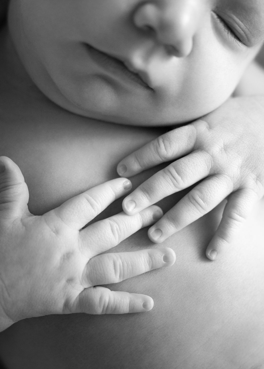 Newborn Hands Close Up 