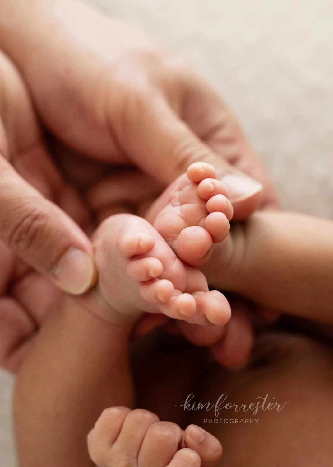 Studio Newborn Photo Shoot | South Surrey, BC — Kim Forrester ...