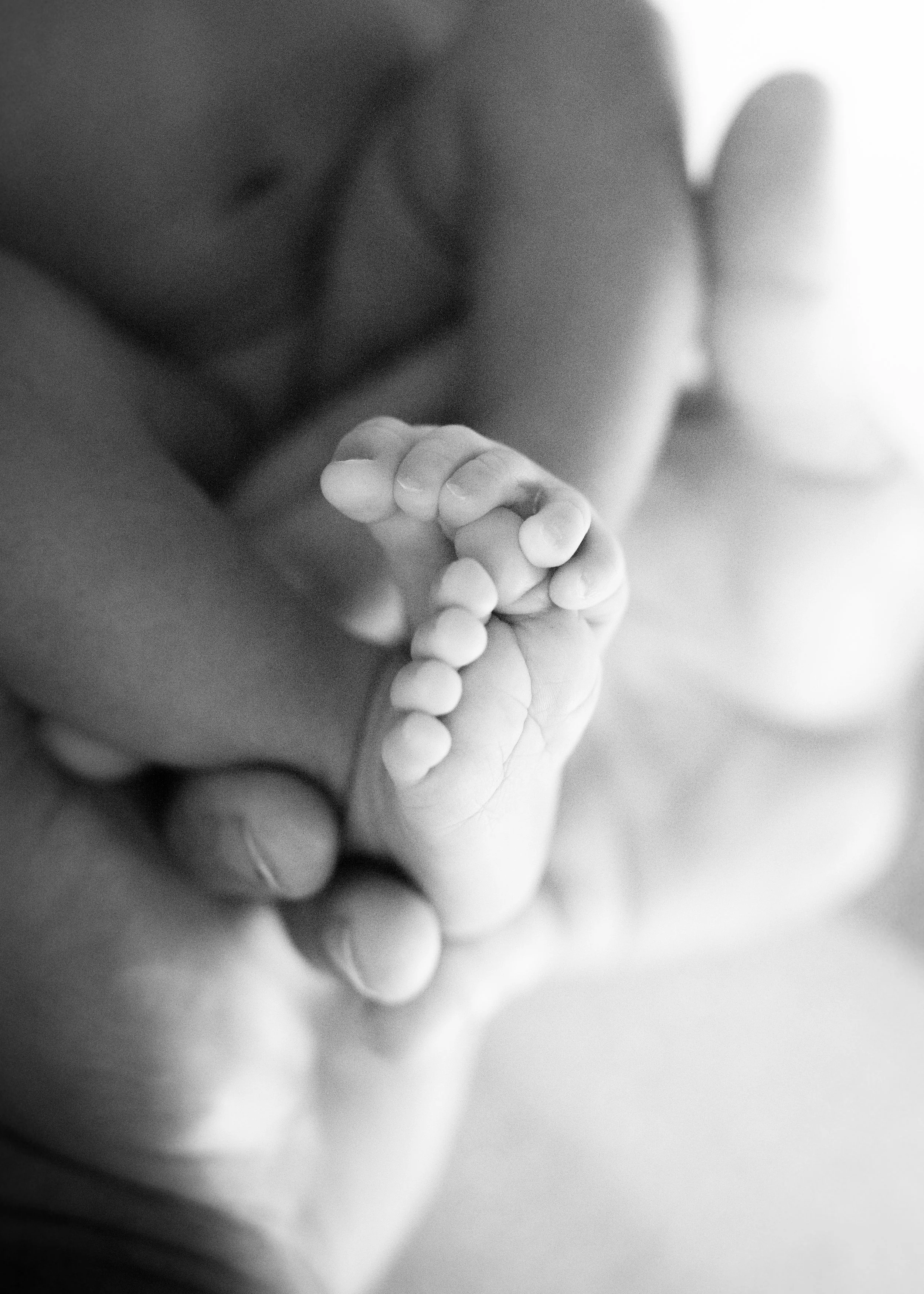 Newborn Details Surrey Photo Shoot