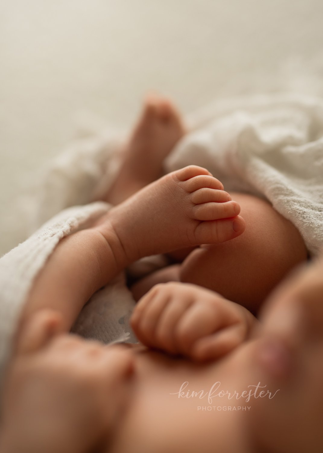 Newborn Details Vernon Session
