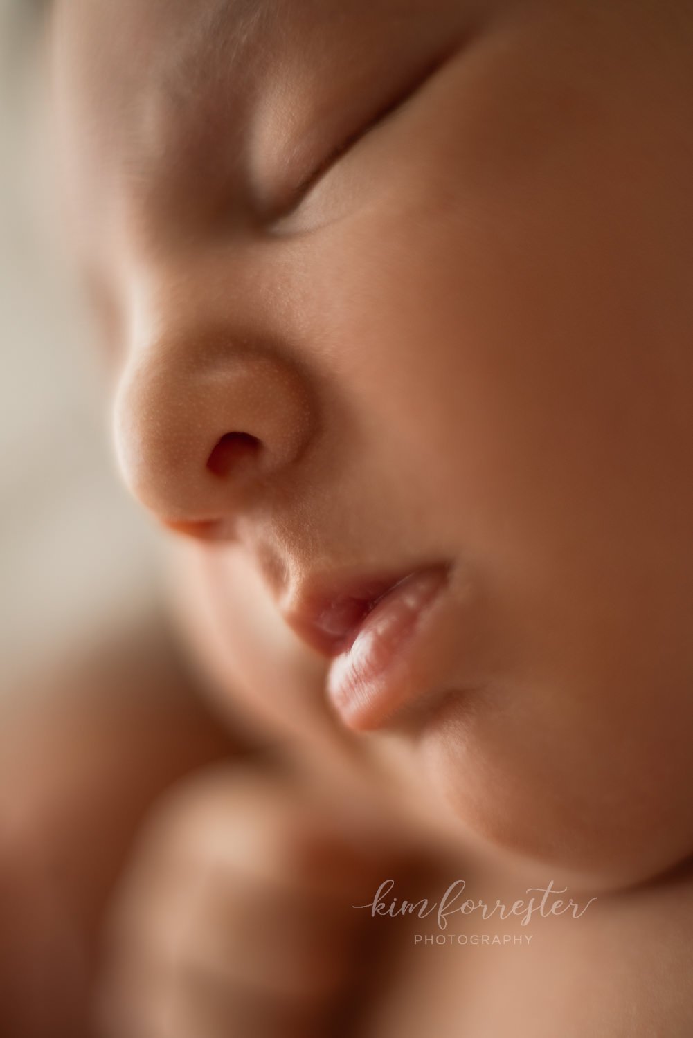Close Up Newborn Facial Features