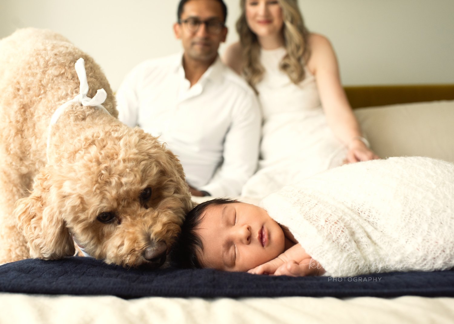 Newborn and Dog