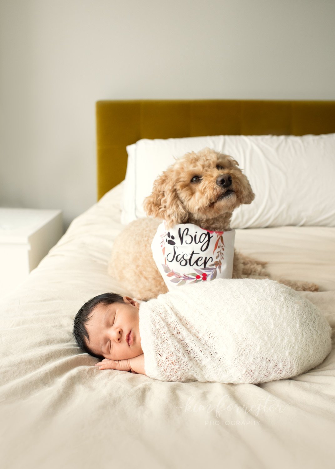 Lake Country Newborn Photographer