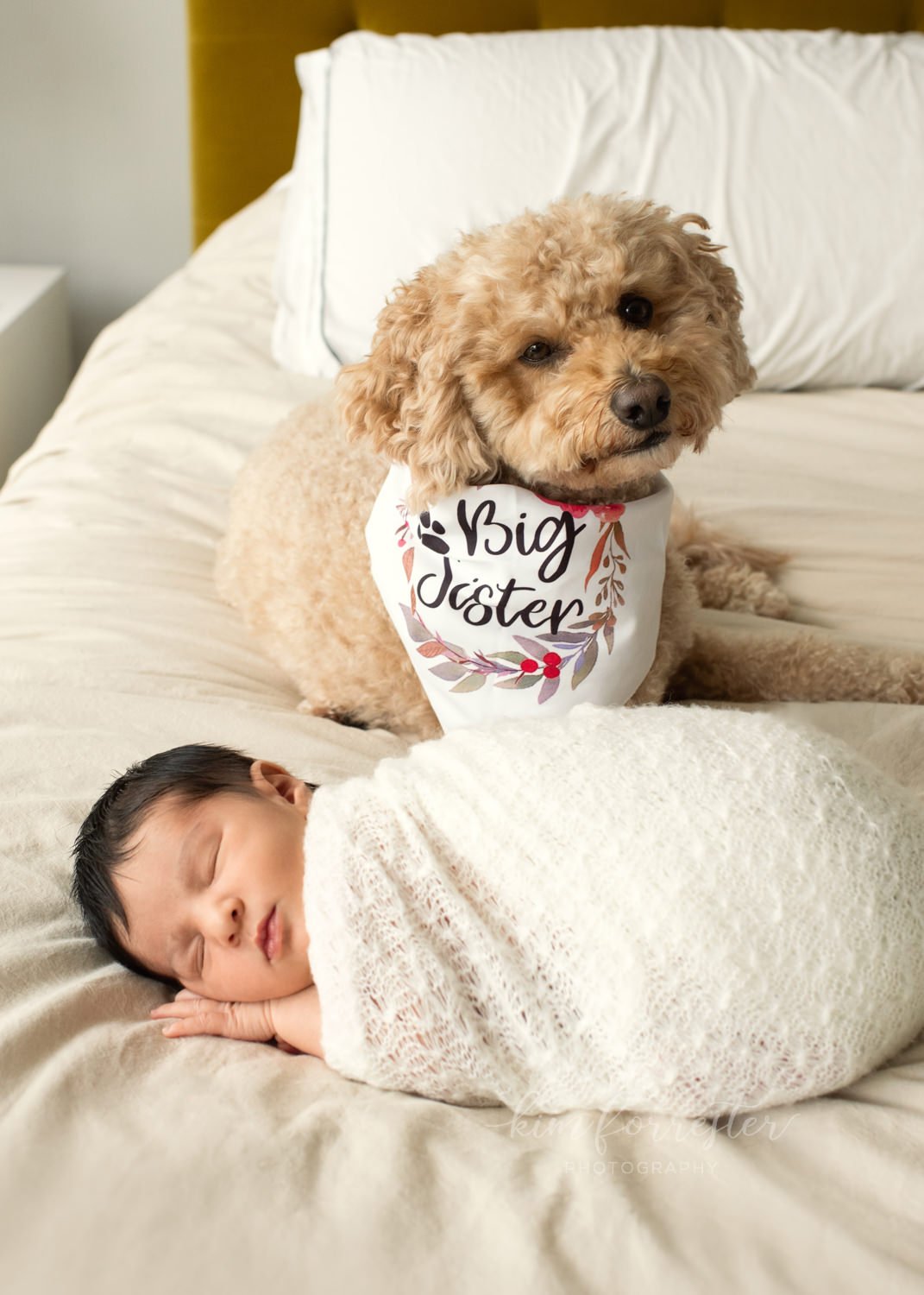 Newborn Session with Dog Vernon