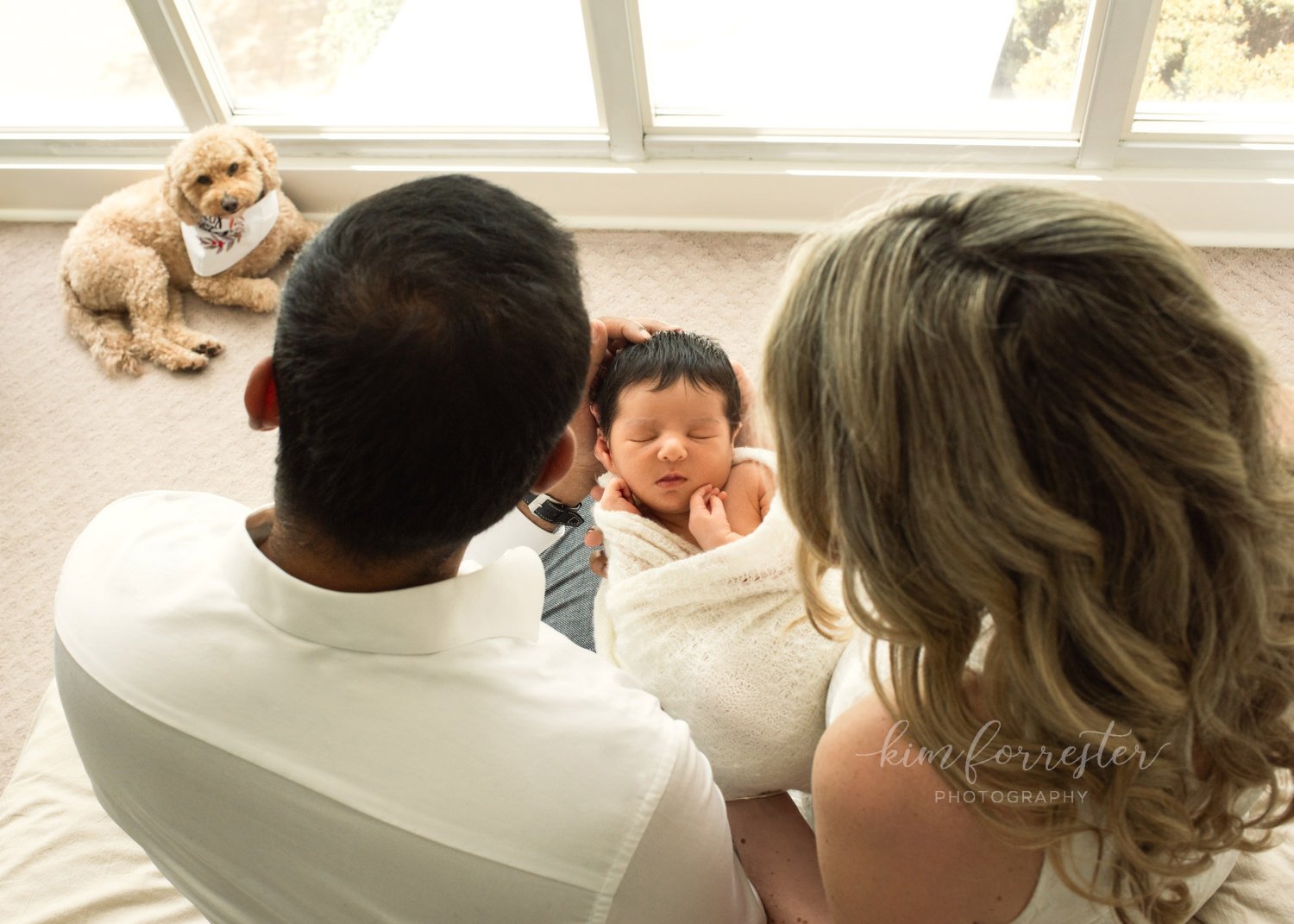 Unique Newborn Photo Ideas