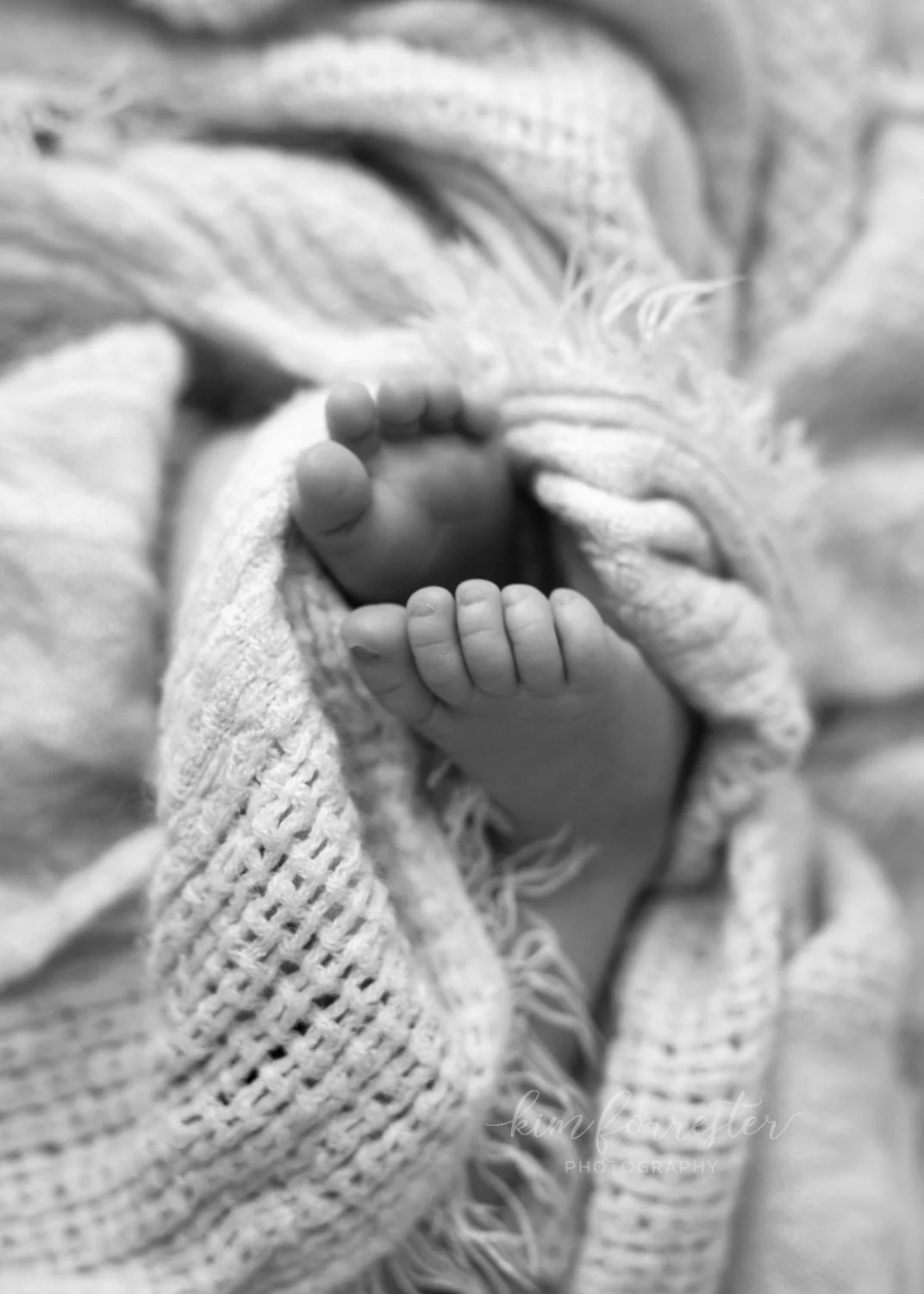 Black and White Photo Tiny Newborn Feet