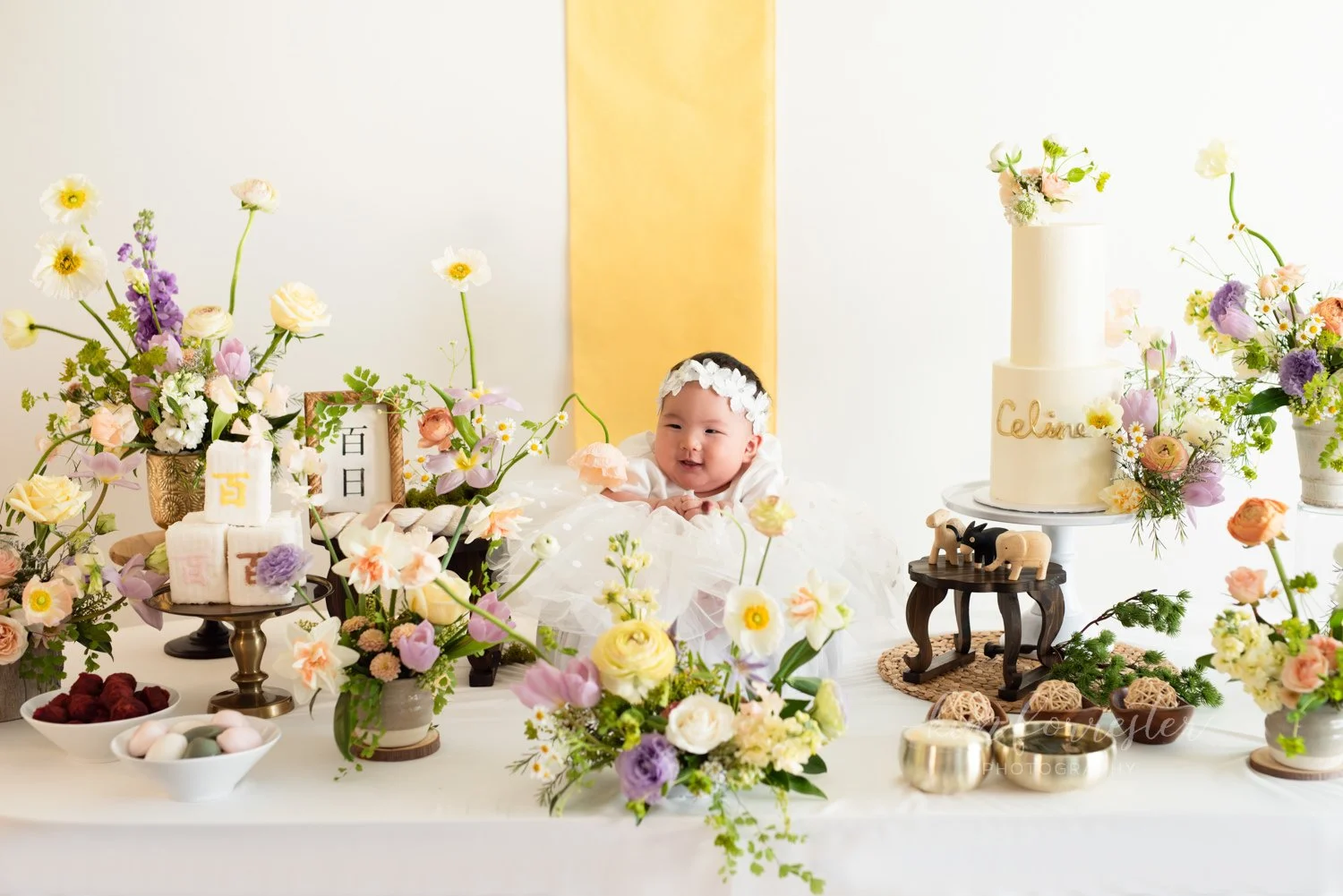 Newborn Photographer Vancouver & Okanagan