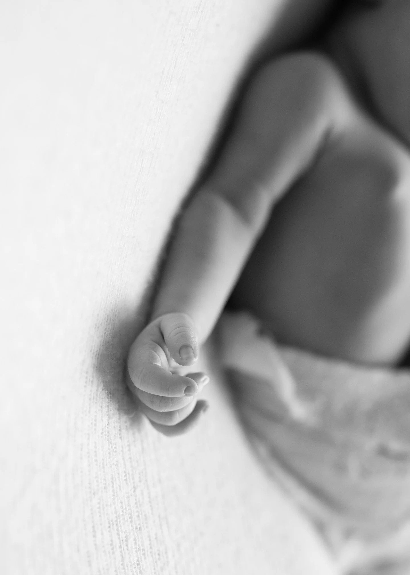 Those delicate fingers and hands that stay tiny for only so long.
#tinyhands #newbornhands #newborndetails #theygrowupfast
#vancouvernewbornphotography #surreynewbornphotography #gentlemoments #newbaby