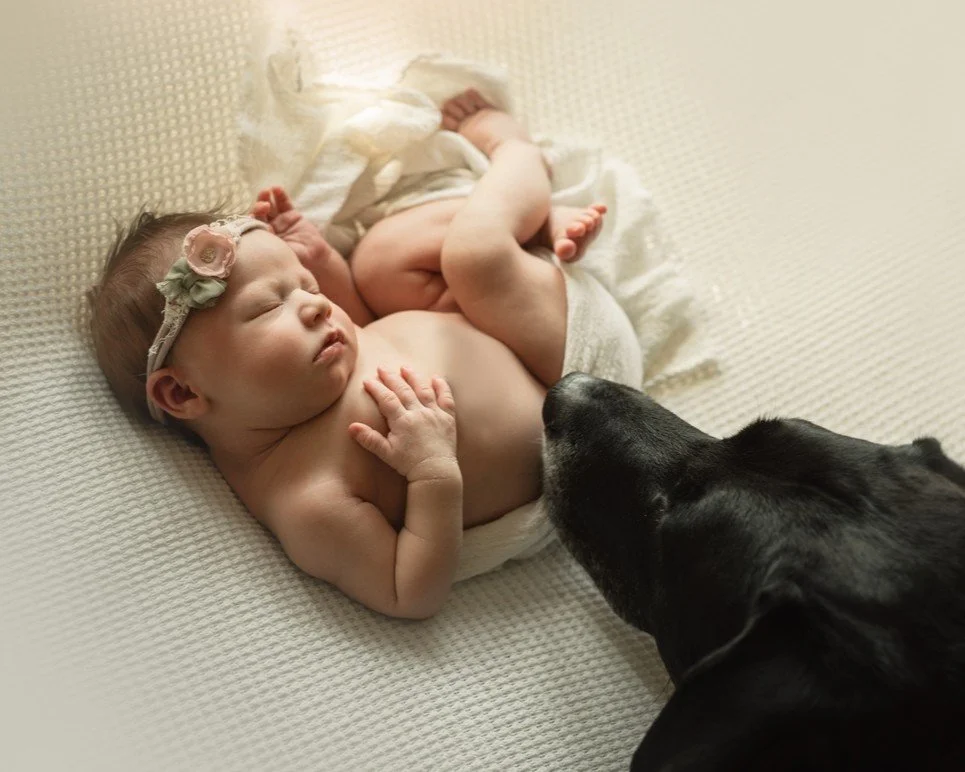 Sniff test approved. Welcome to the pack, little one.

#VancouverNewborn 
#VancouverFamilyPhotography 
#VancouverPhotographer 
#InHomeNewbornSession 
#VancouverMoms 
#VanCityBabies 
#VancouverLife 
#BCPhotographer 
#VancouverInHomeSession 
#WestCoast