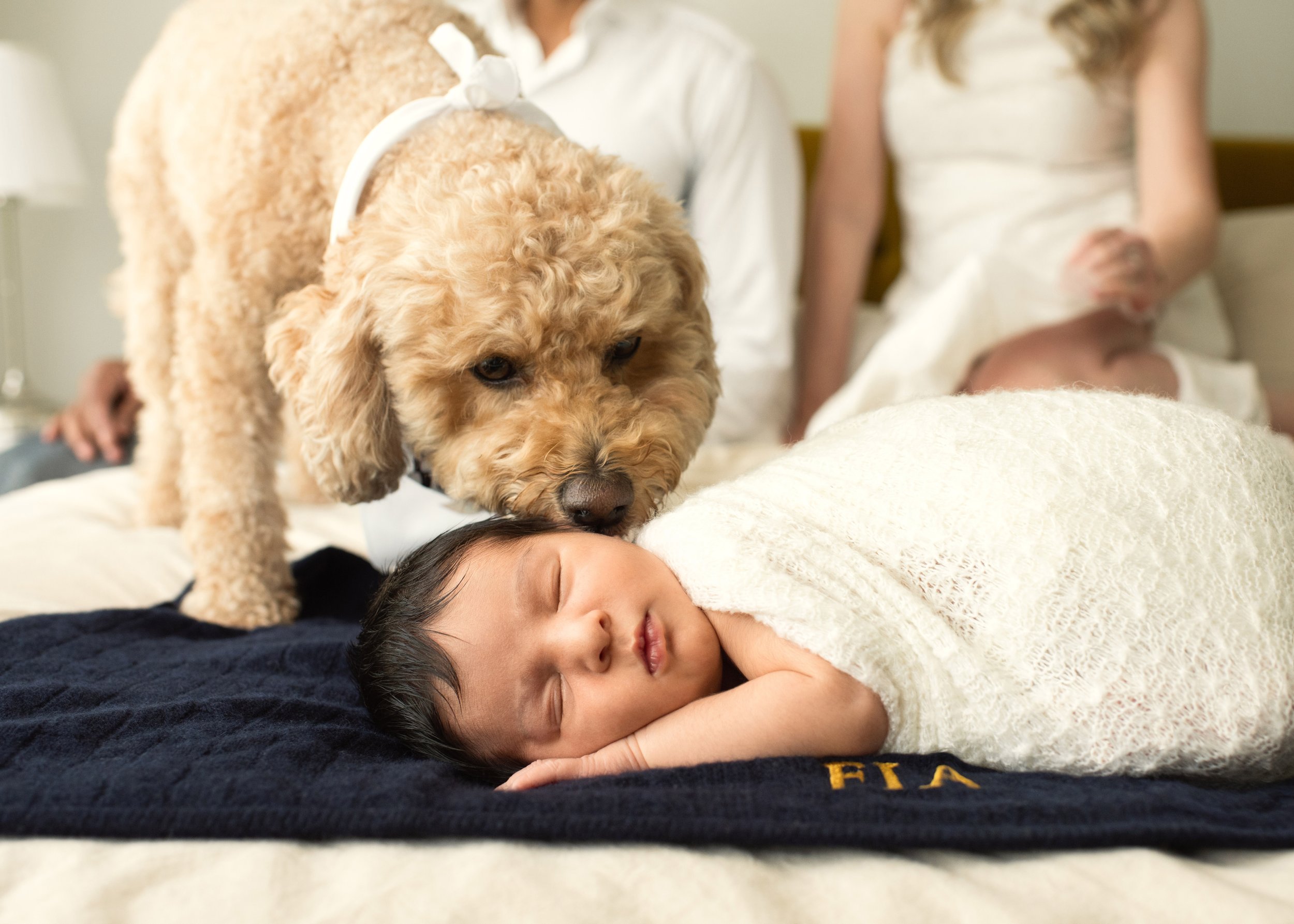 Newborn with Dog