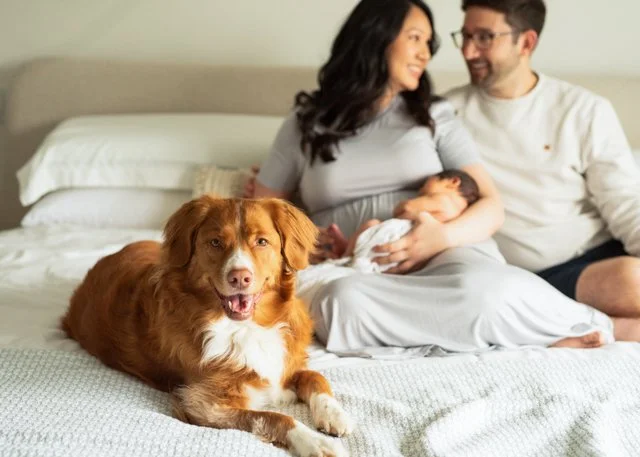 Newborn and Family Photography Vancouver