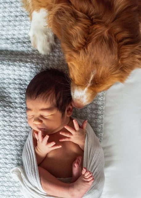 Newborn and Dog 