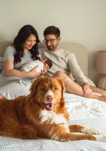 Newborn and Family Photographer Vancouver