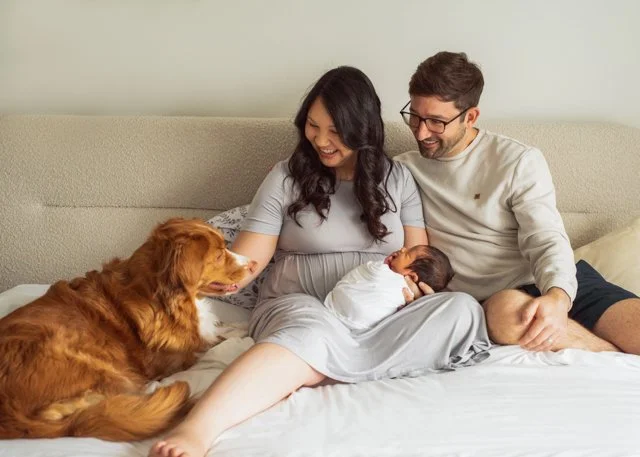 New Baby with Parents and Family Dog