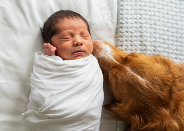 Vancouver Newborn Photographer
