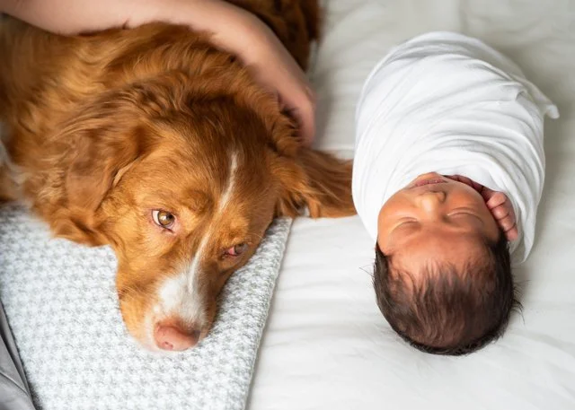 Newborn and Dog