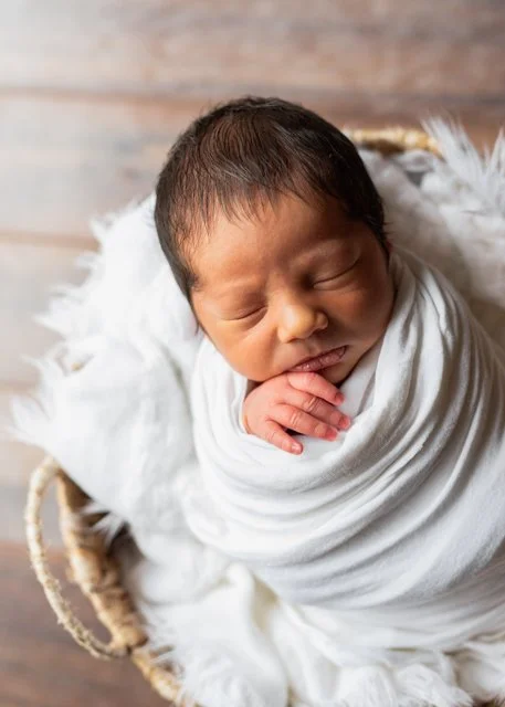 Wrapped Newborn Posed in Baset