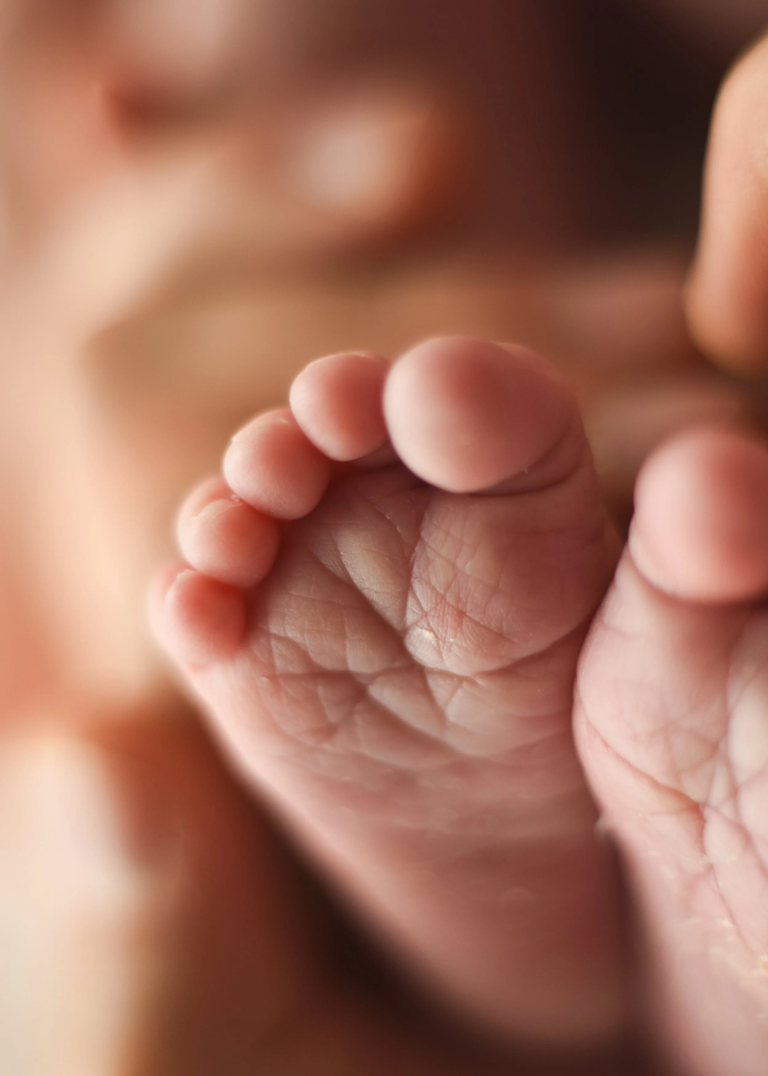 Close-Up Newborn Toes