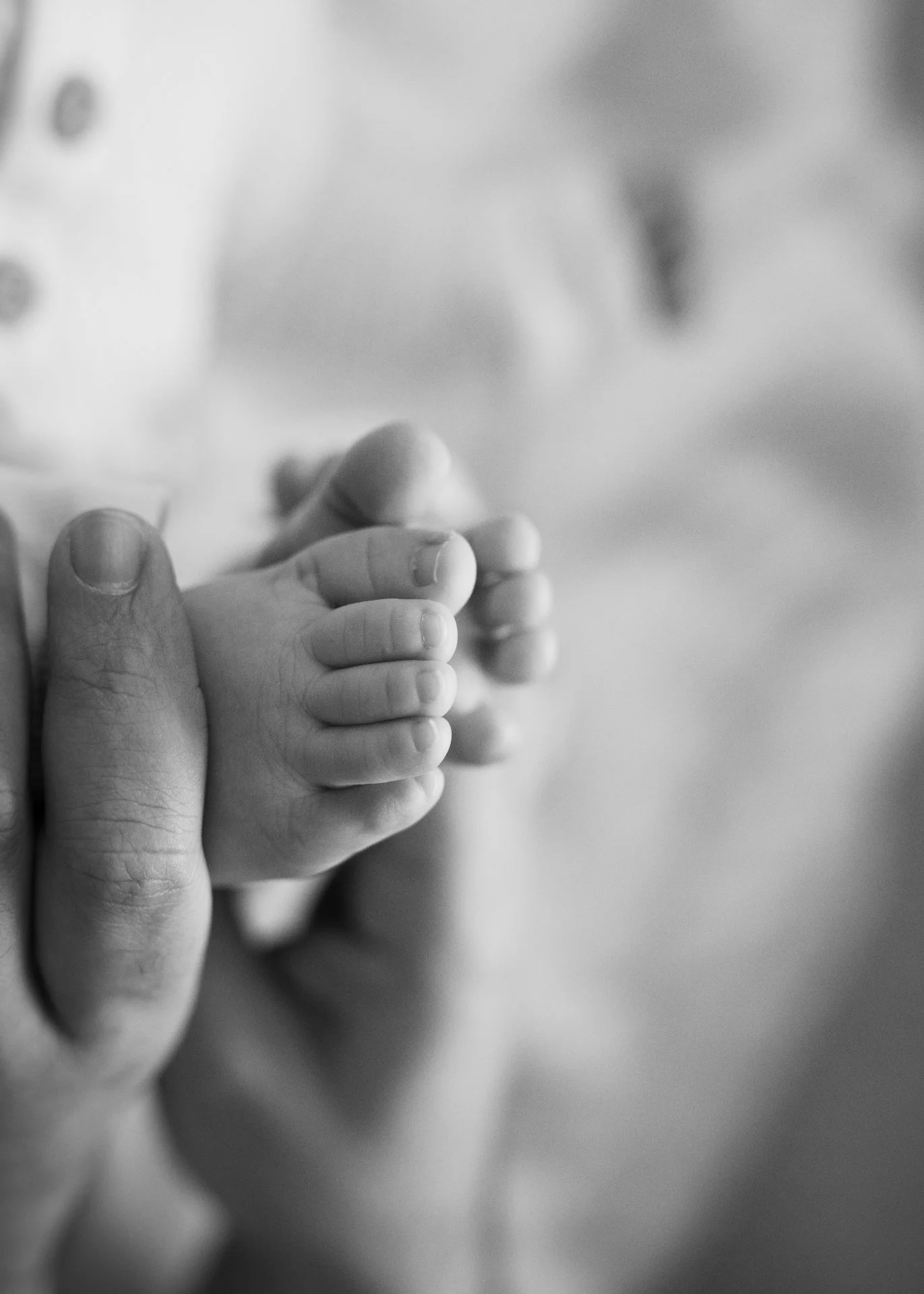 Baby was over 3 months old for his photos and look how tiny his toes still look in dad's hands. It's never too late to capture them when they're tiny, even if that's a few months past the typical "newborn" stage. I love working with babies 
