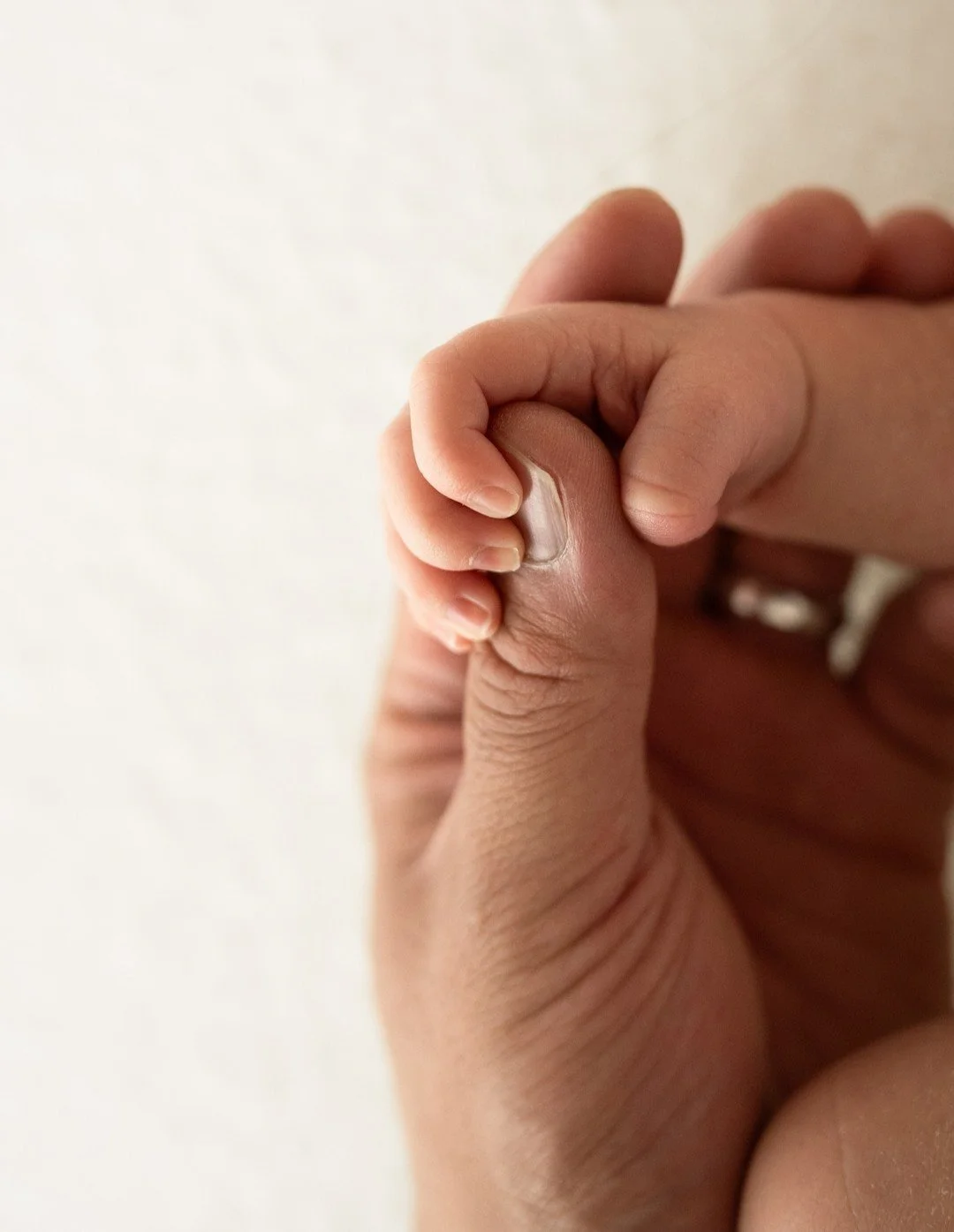 Tiny hand. Big love. Forever holding on.

#KelownaNewbornPhotographer
#OkanaganNewborn
#VernonBC
#LifestyleNewborn
#InHomeNewborn
#FamilyConnection
#NewbornLove
#NaturalLightPhotography
#OkanaganLife