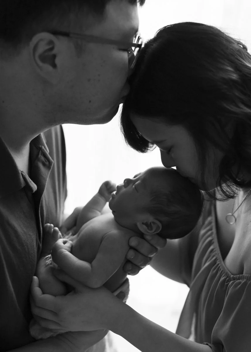 Newborn Photographer Timeless