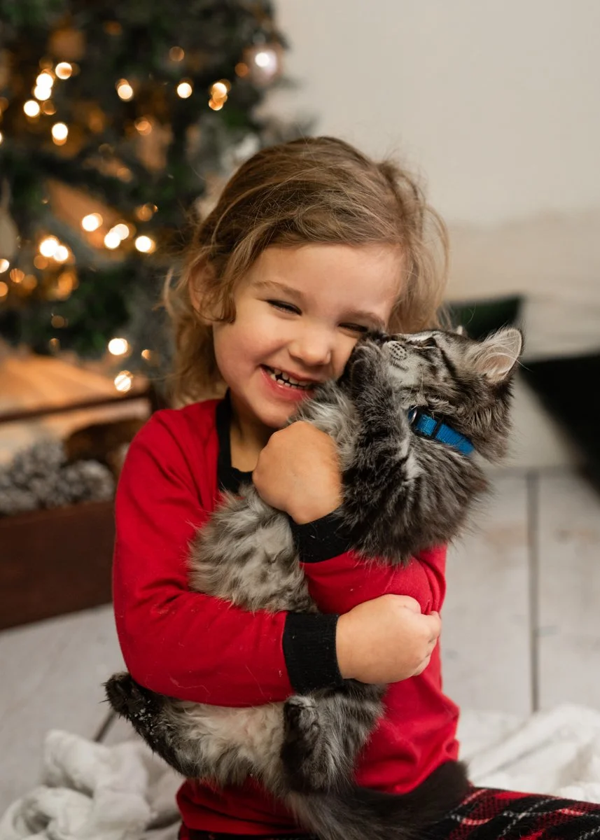 Girl Cuddling Kitten Christmas Photo Vernon BC
