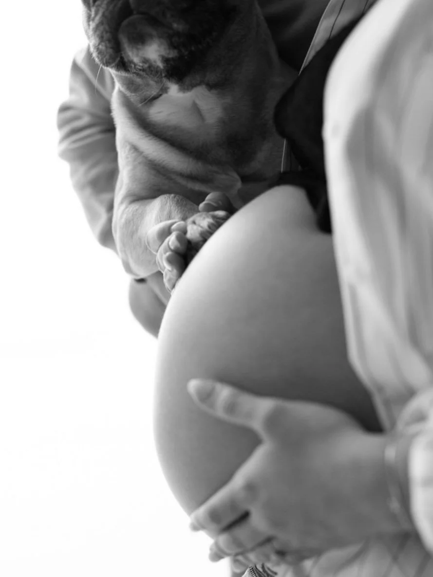 Her first baby&rsquo;s paw on her growing belly 🤍 a quiet silhouette that feels both real and beautifully editorial. Dogs are allowed in our natural light studio in South Surrey, or for anywhere in Vancouver or the Okanagan, we can come to your home