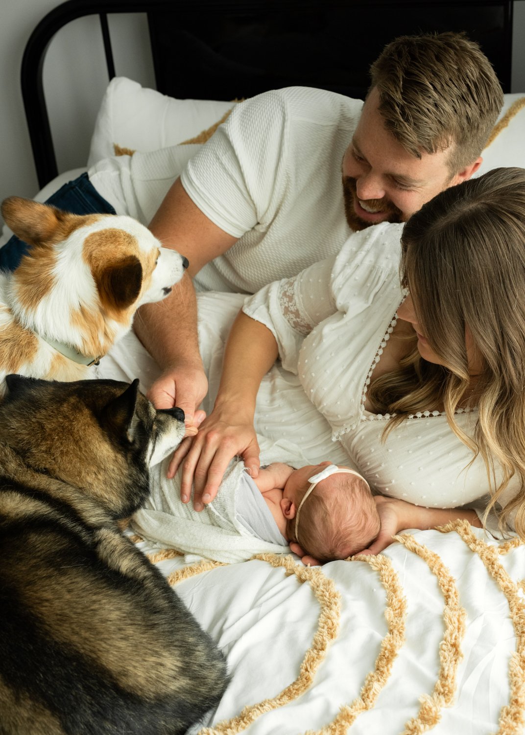 In-Home Newborn and Dog Photographer