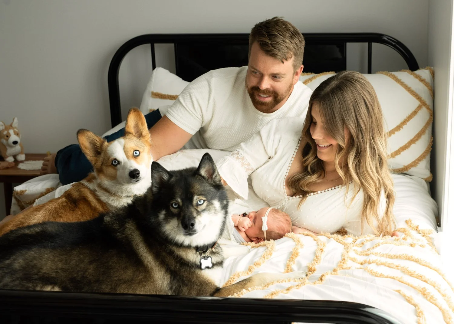 Glenmore Newborn Photography | An In-Home Session with Baby and Two Dogs