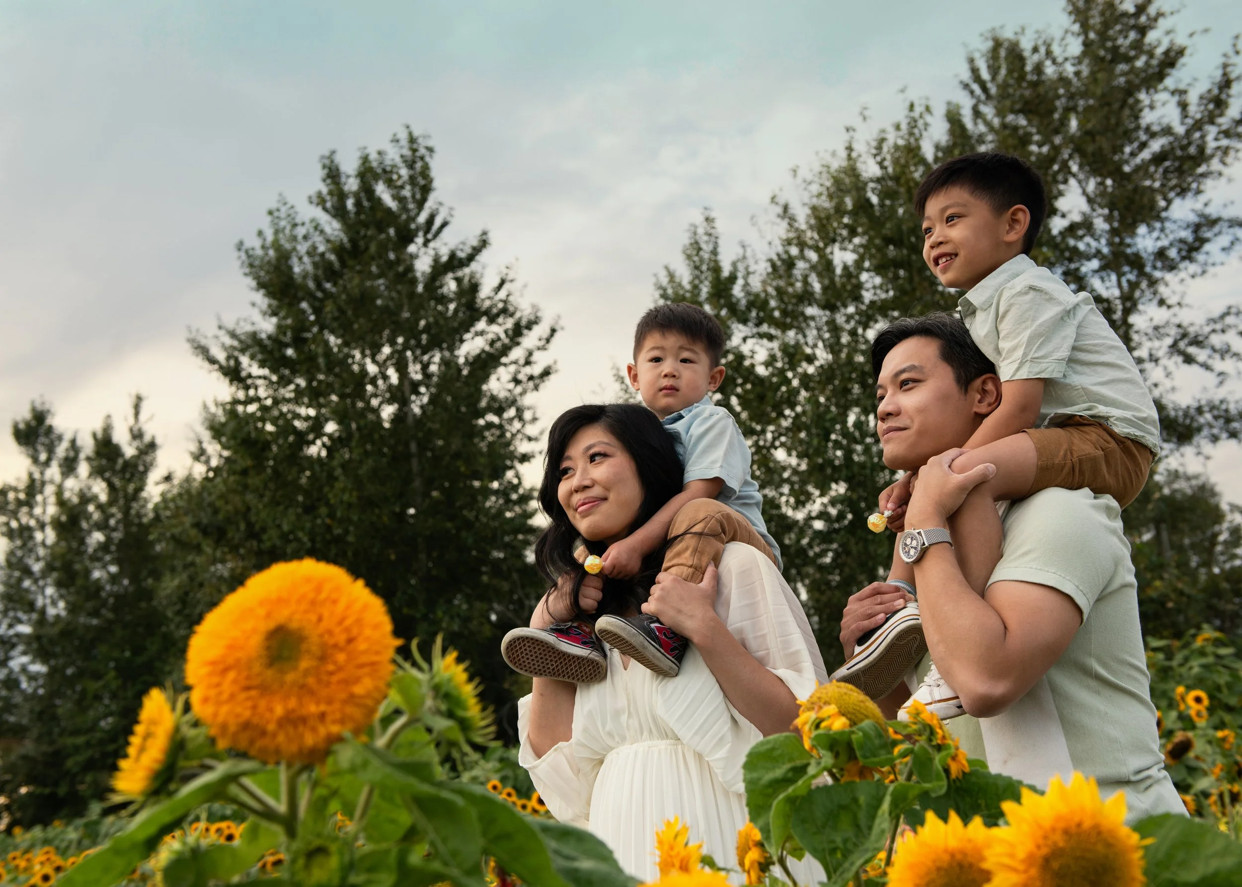 Sunflower Festival Family Photoshoot