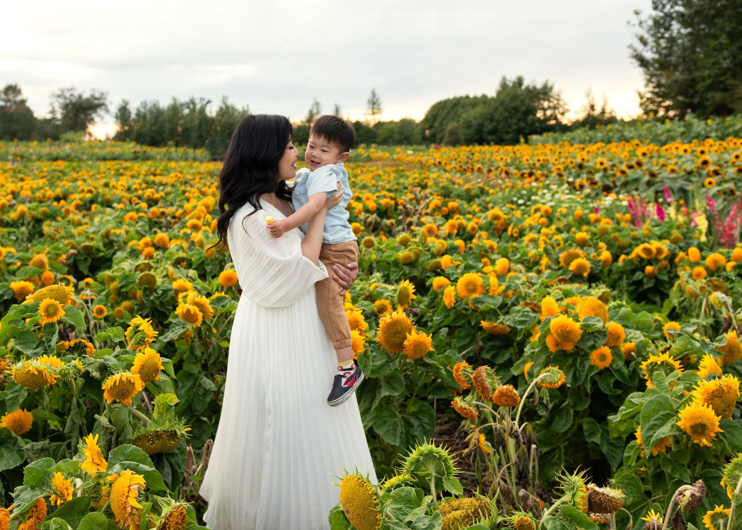 Family Photographer Richmond Sunflower Festival