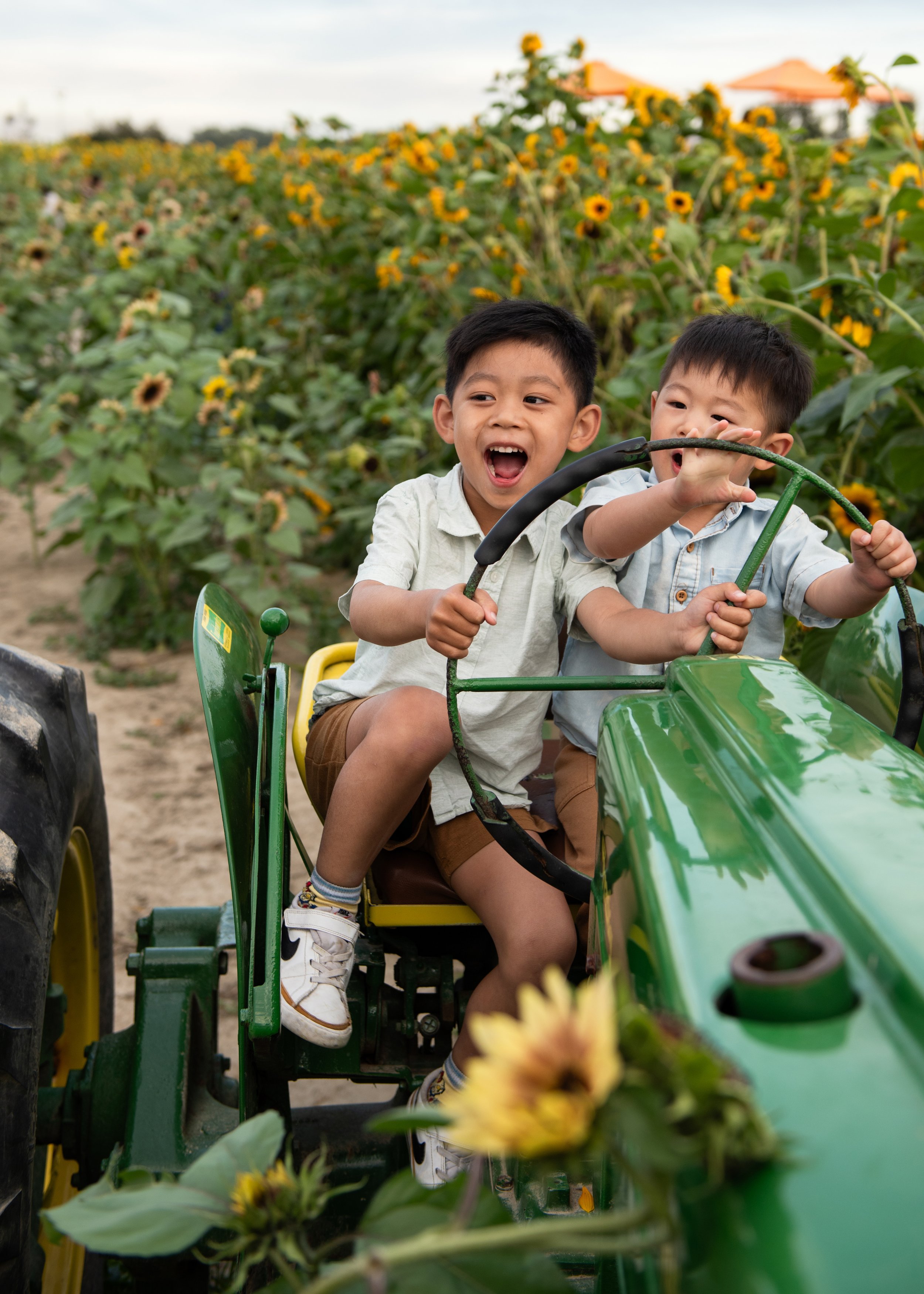 Richmond Children's Photographer