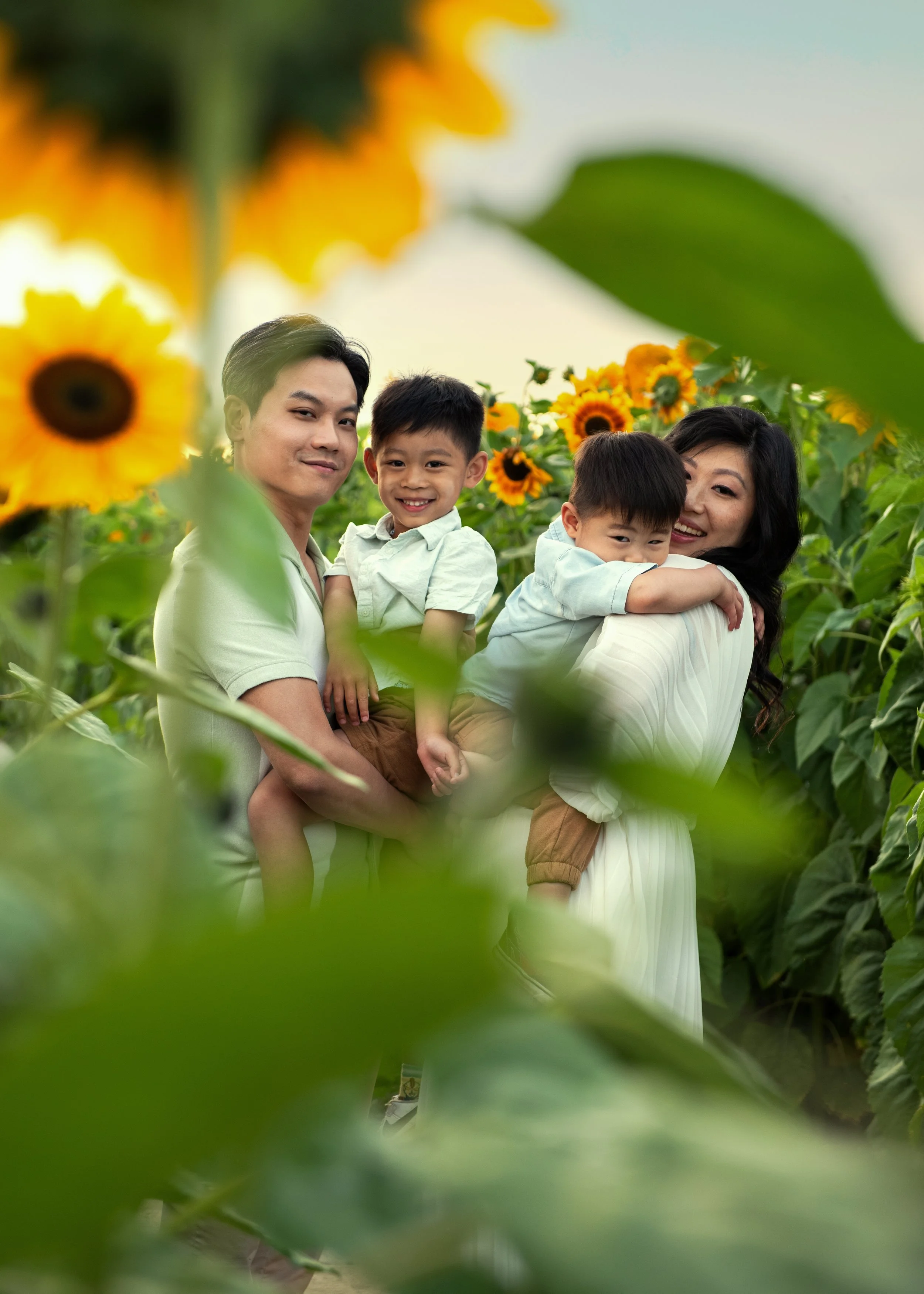 Sunflower Family Session