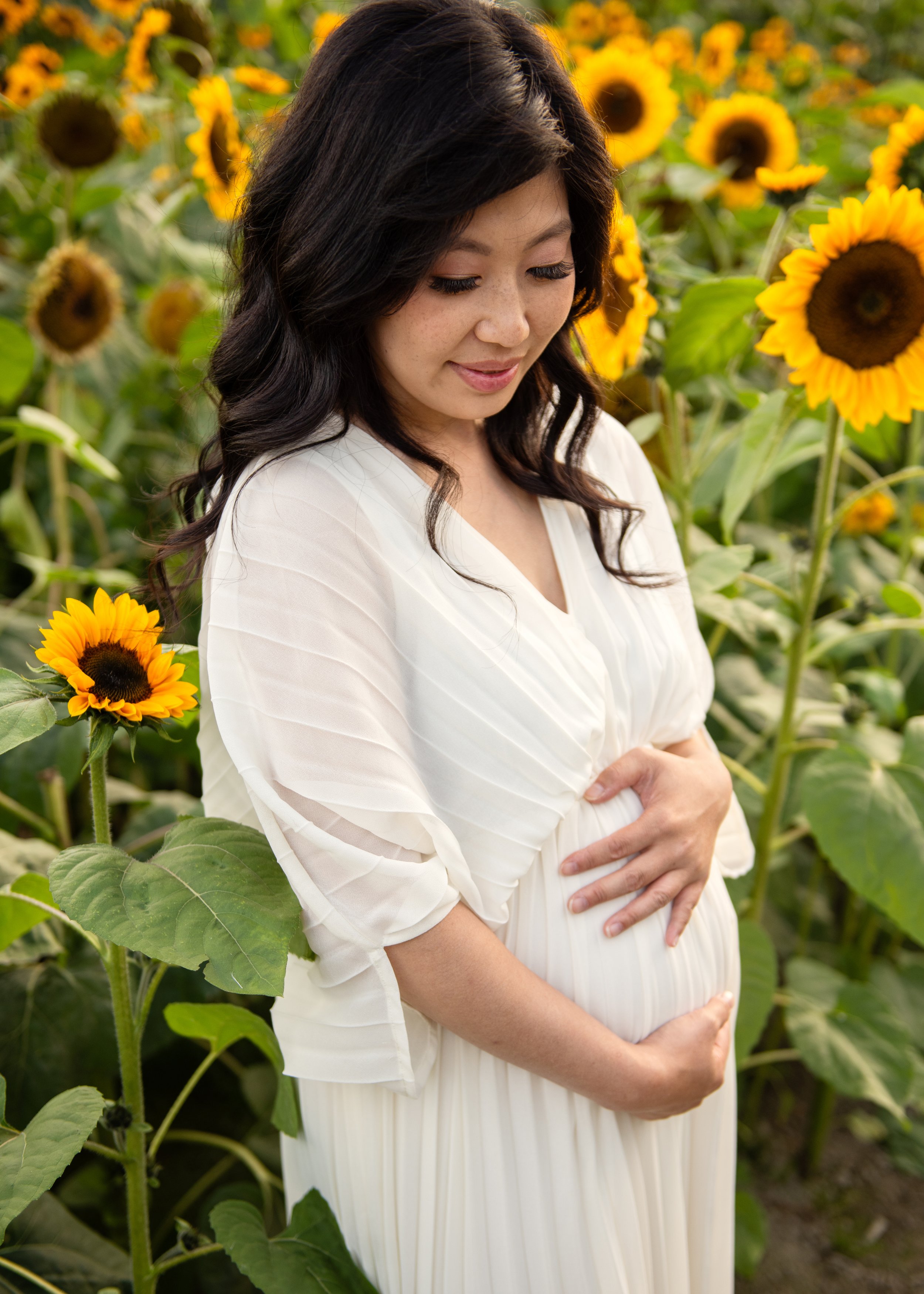 Maternity Session at Richmond Sunflower Festival