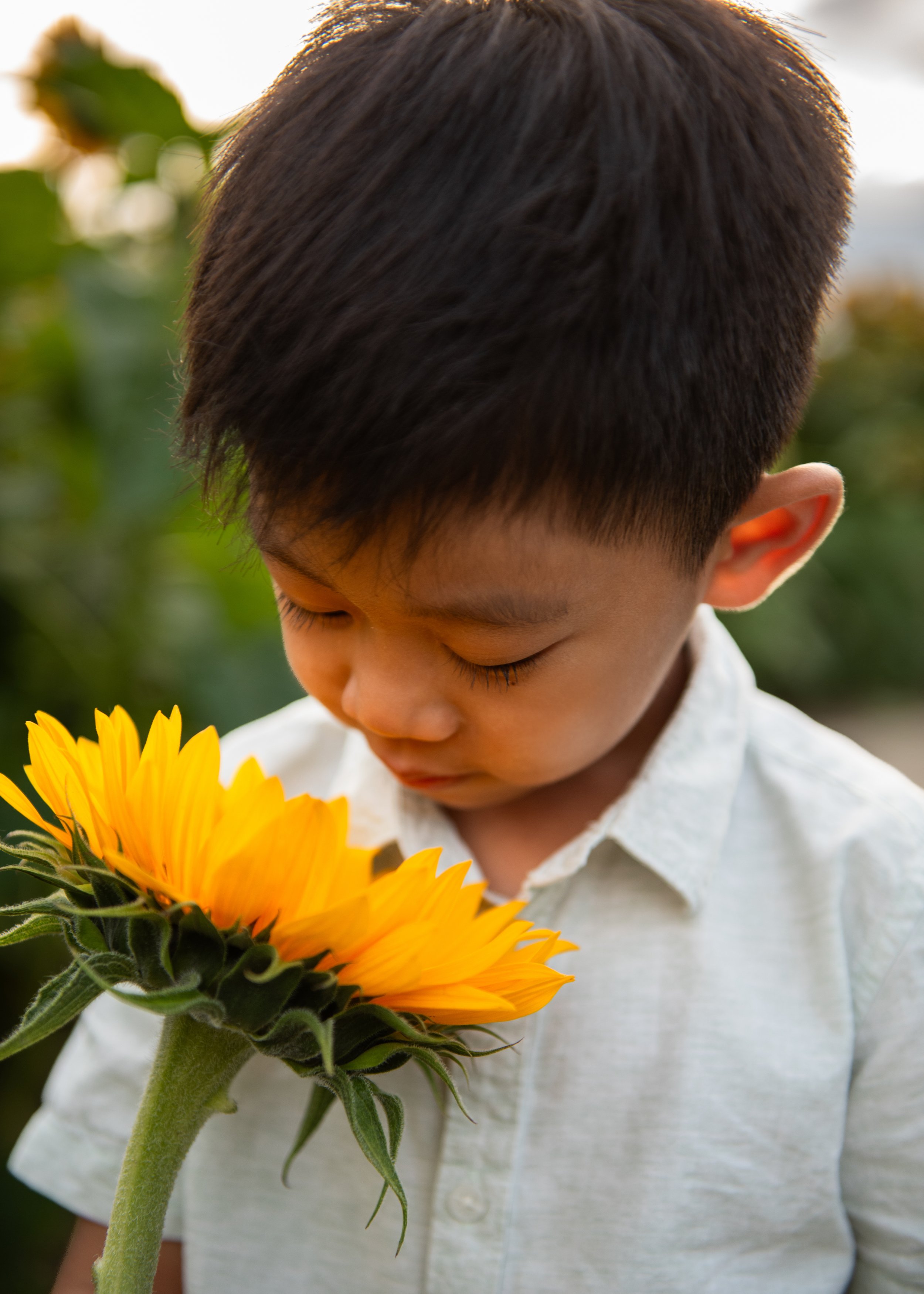 Richmond Children's Photographer