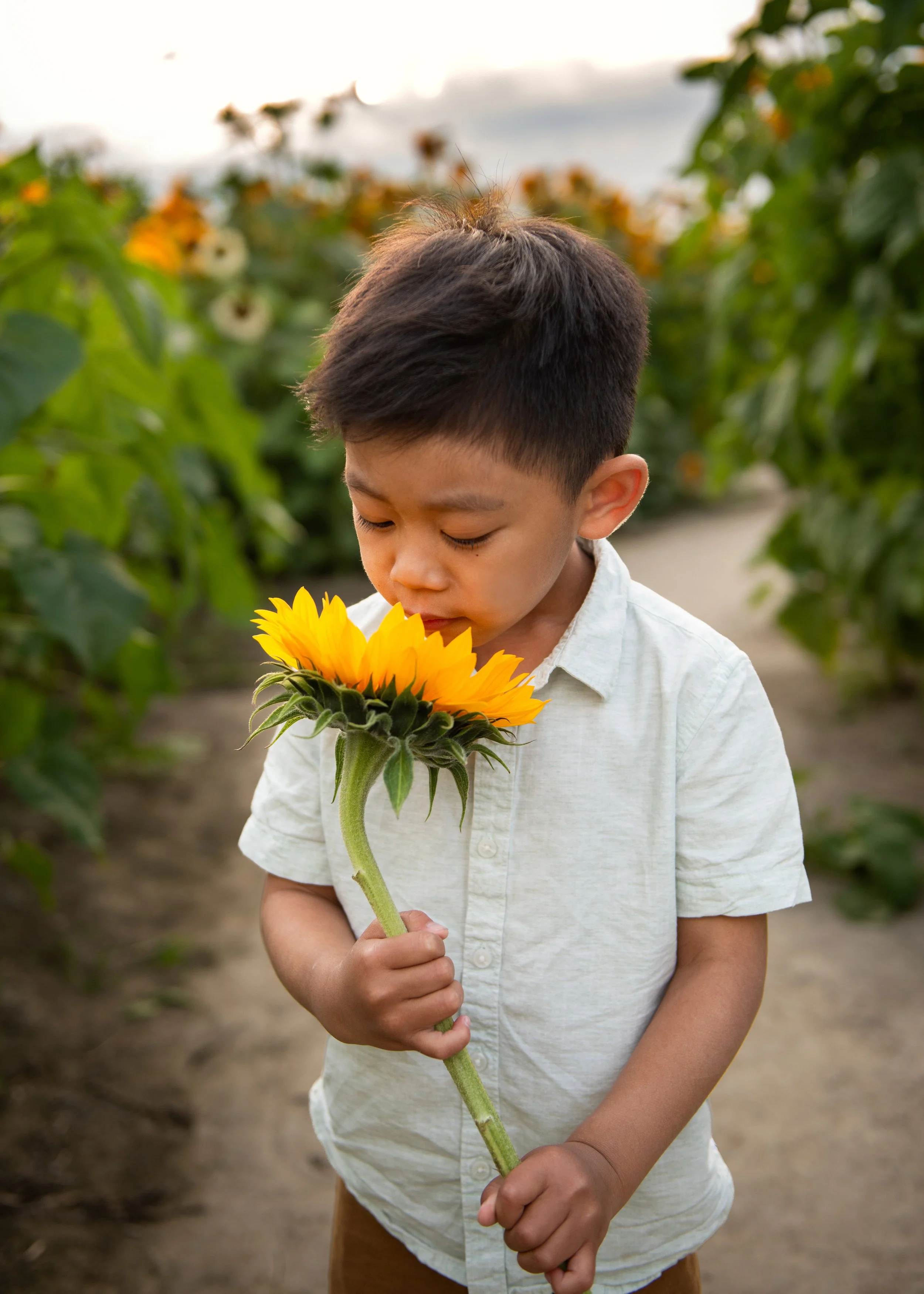 Vancouver Children's Photographer