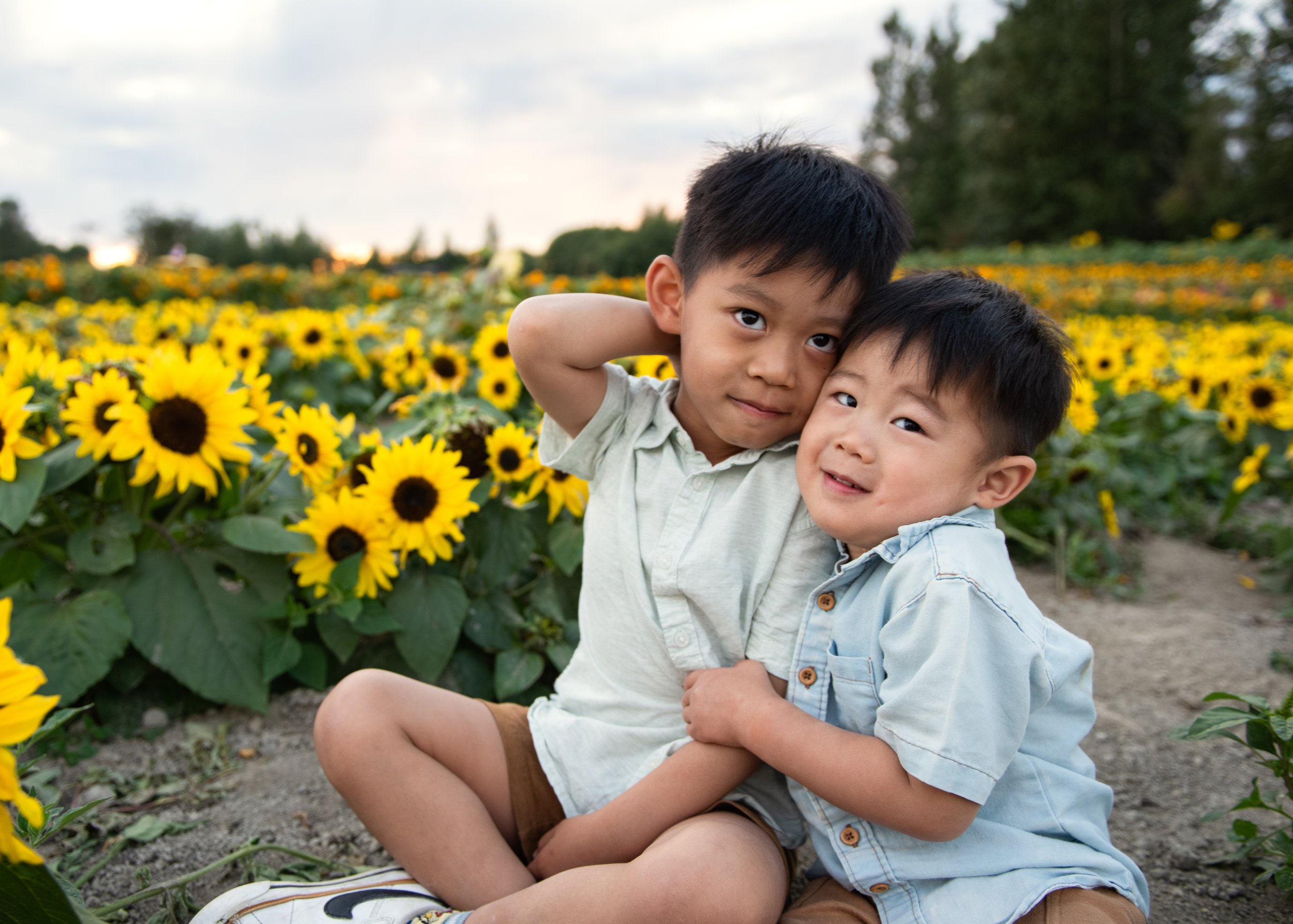 Sibling Photo in Sunflower Field