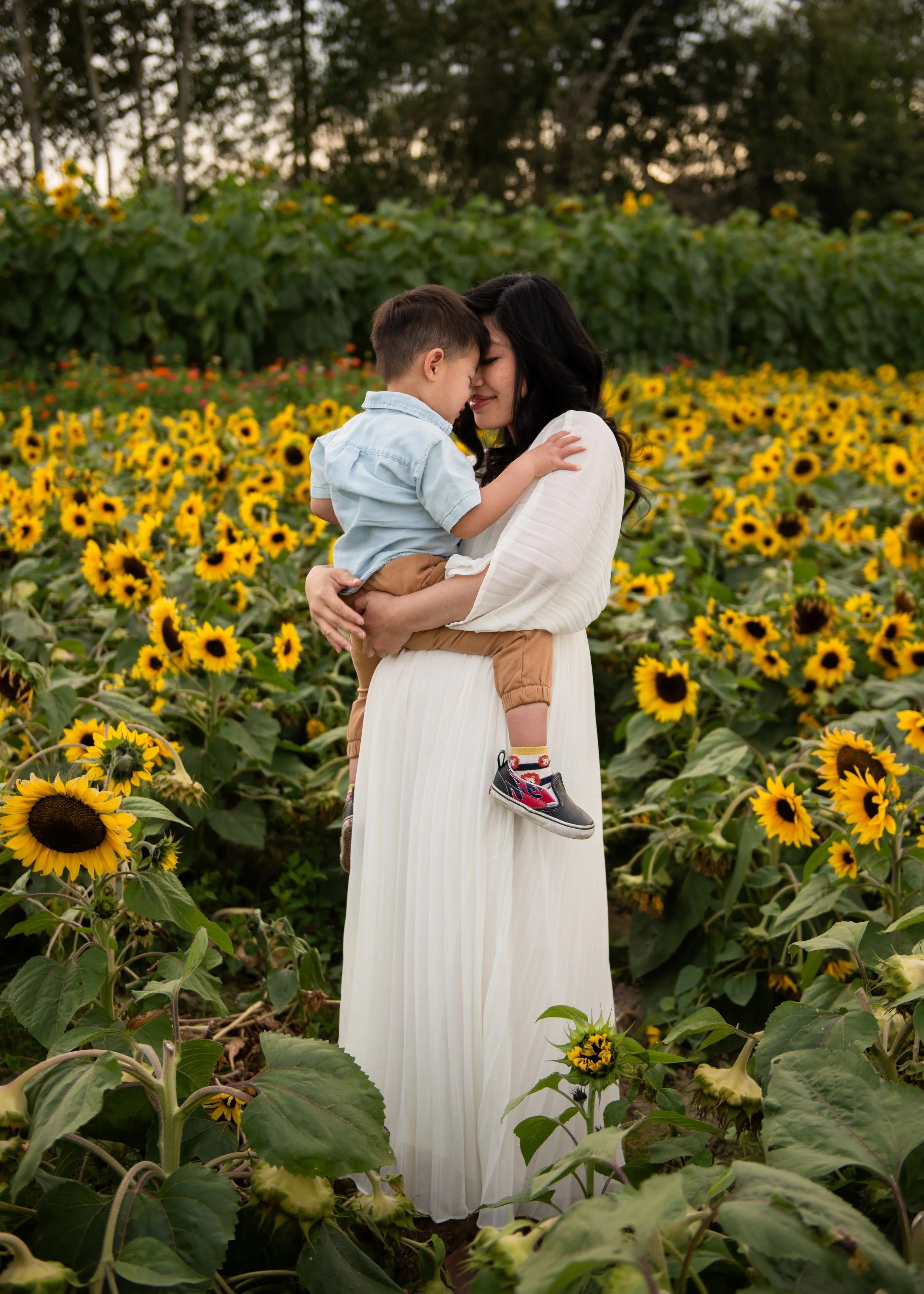 Sunflower Session with Mom and Son