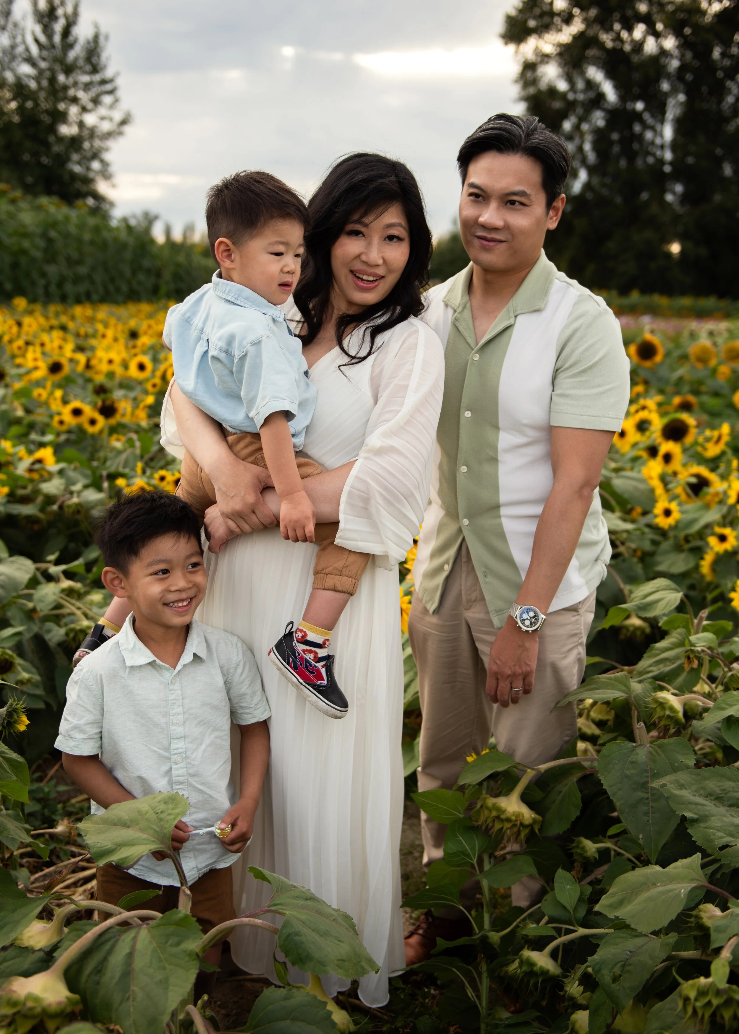 Sunflower Field Family Portrait