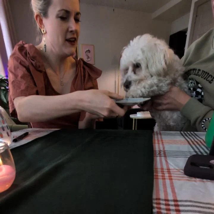 At Sound Sight Tarot, we know dogs are part of the family! I'll always try to include them at our tarot table moments. Sweet Trevor was an angel when his turn came.

(And for what it's worth, he did in fact need a walk as his dog-mom confirmed right 