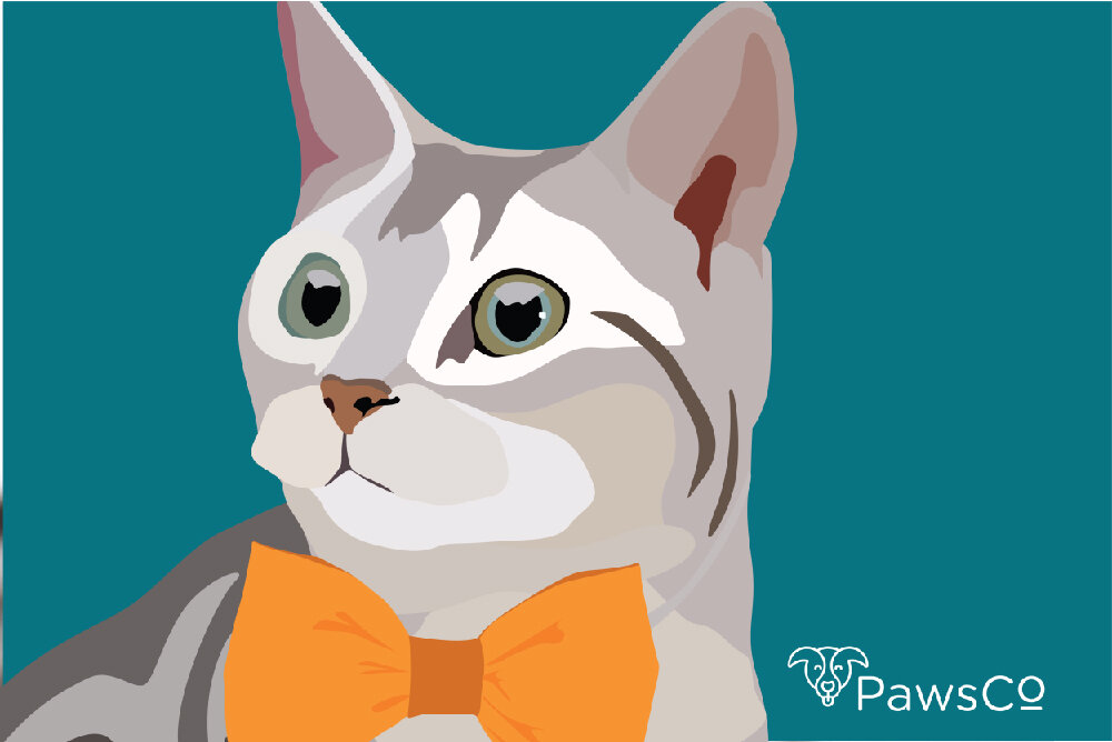 pawsco5-01-01.jpeg
