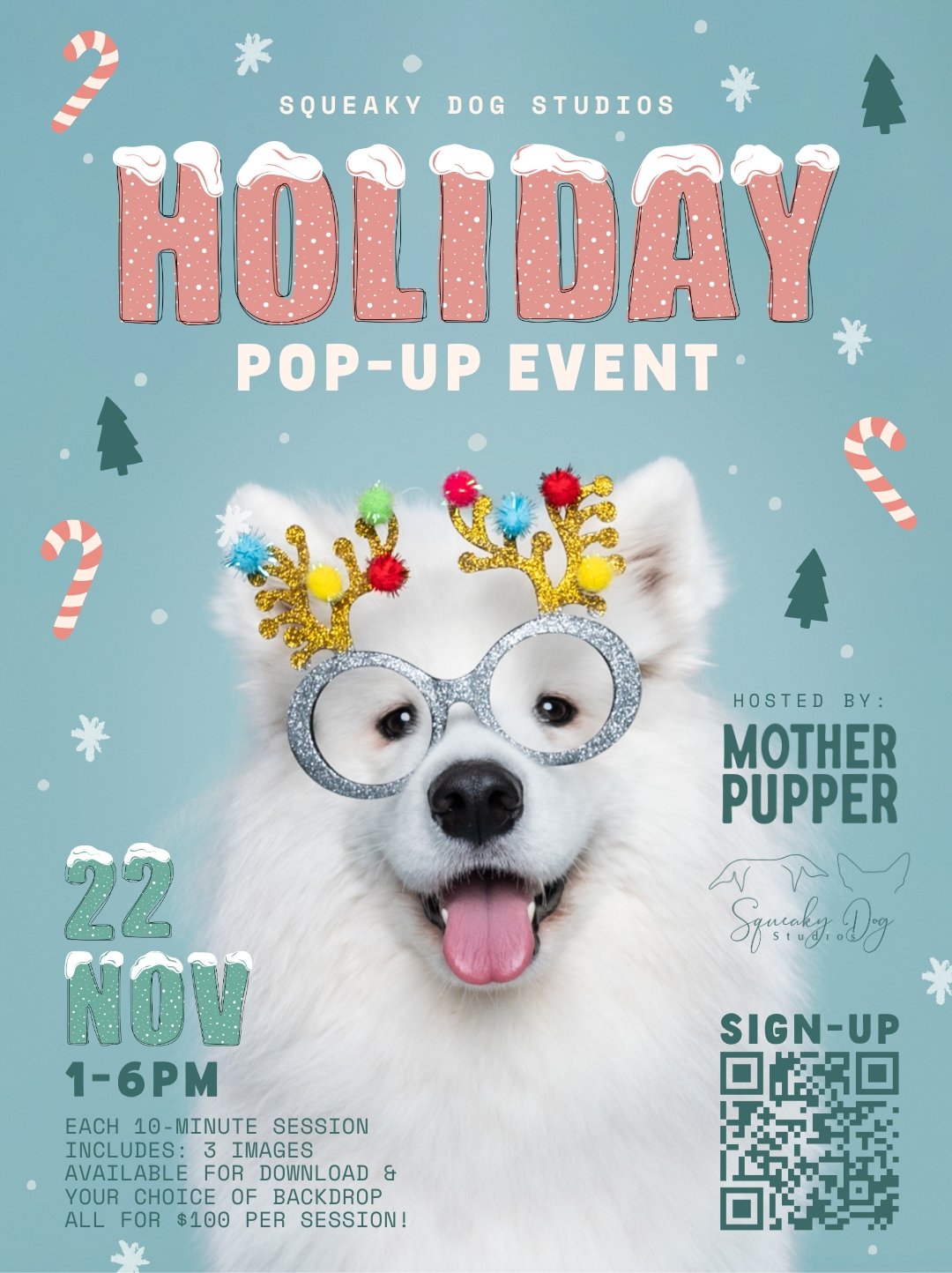 portland dog photographer, pdx dogs, portland dogs, portland holiday photos, portland photographer, portland dog photos 